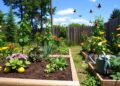 Gardening Basics